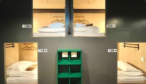Bunk Bed in Mixed Dormitory Room