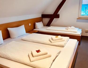 Basic Triple Room