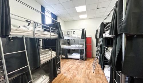 Bunk Bed in Mixed Dormitory Room