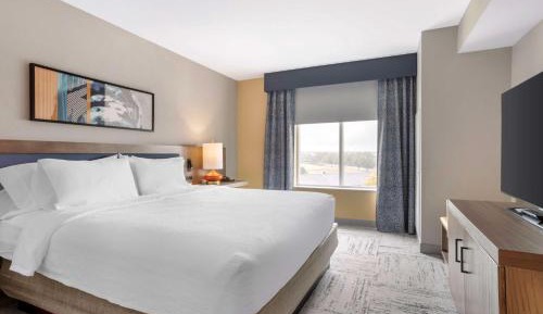 Junior King Suite with Sofa Bed