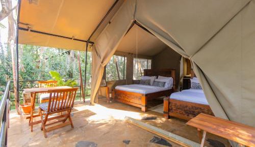Tent