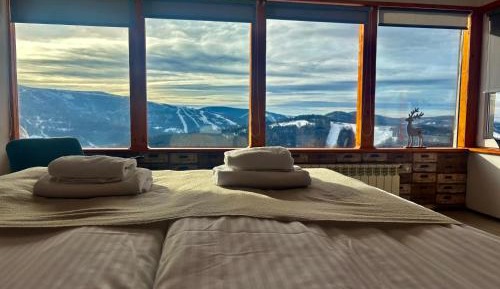 Suite with Mountain View