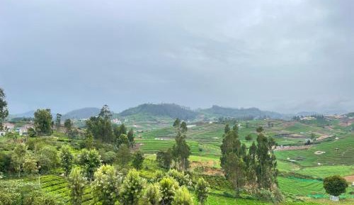 Double Room with Mountain View