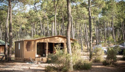 Mobile Home