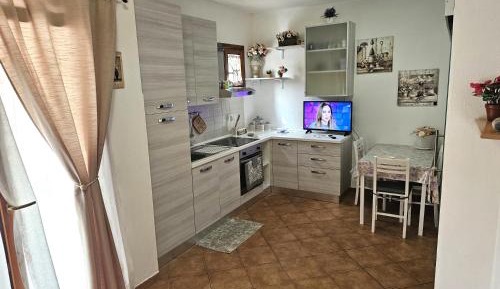 Standard Apartment