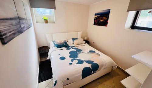 One-Bedroom Apartment with Terrace