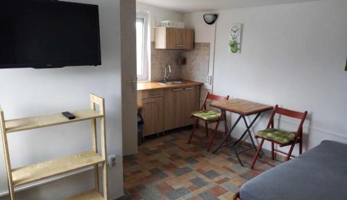 One-Bedroom Apartment with Garden View