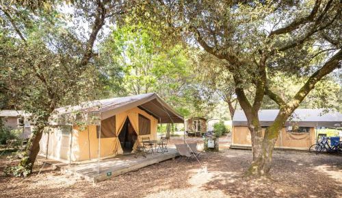 Tent Sweet +