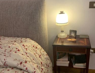 King Room with Garden View