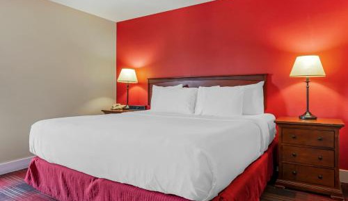 Deluxe King Suite