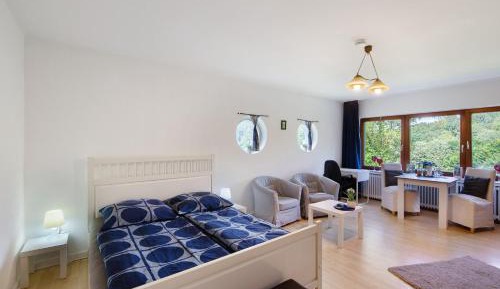 Superior One-Bedroom Apartment