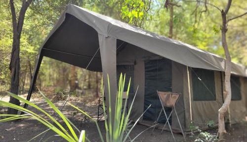 Tent