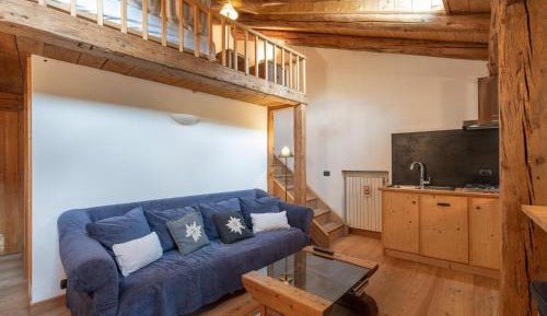 One-bedroom Loft Apartment 