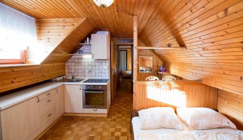 One-Bedroom Apartment with Balcony - Attic