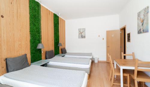 Triple Room with Terrace