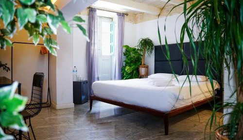 Deluxe King Suite
