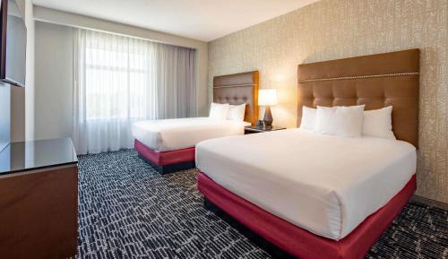 Queen Suite with Sofa Bed