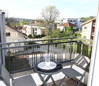 Apartment with Terrace