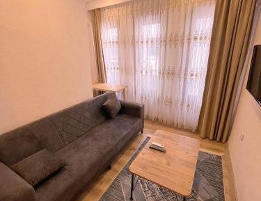 One-Bedroom Family Apartment