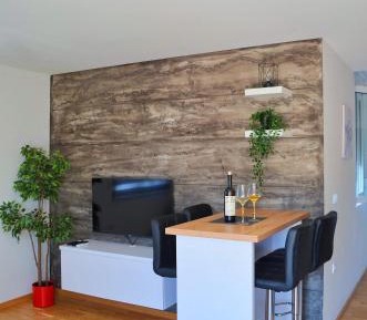 One-Bedroom Apartment with View