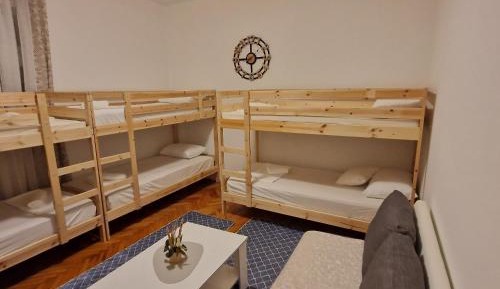 Bunk Bed in Mixed Dormitory Room