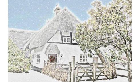 Holiday Home