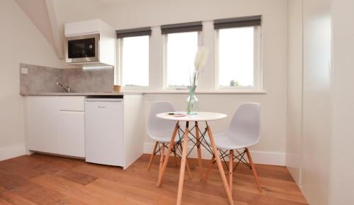 Split Level Deluxe Studio Apartment