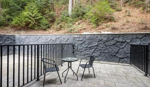 Double Room with Terrace and Forest View