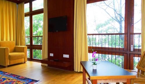 Premium Mountain View Room