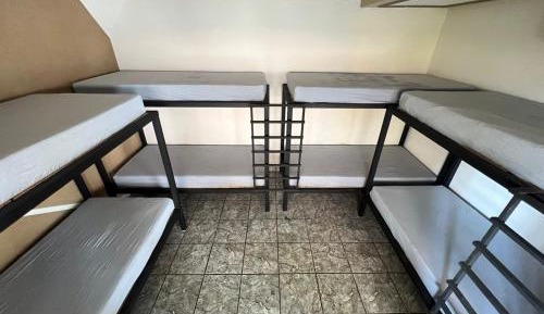 Bunk Bed in Mixed Dormitory Room