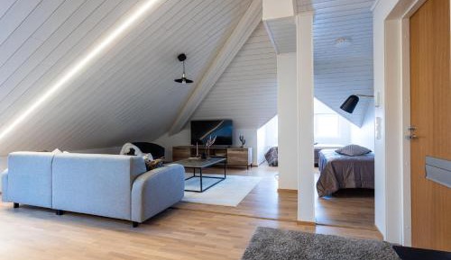 Penthouse Apartment
