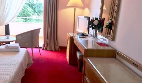 Double Room with Mountain View