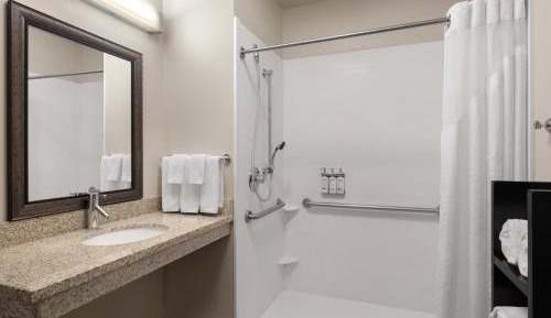 Queen Room with Accessible Roll In Shower - Non-Smoking