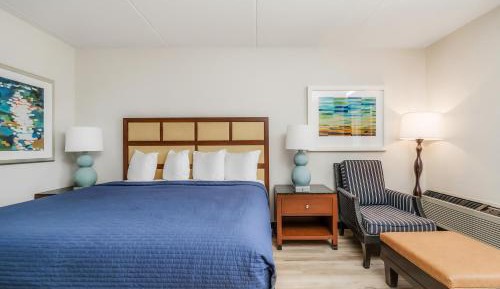 Kitchenette Studio, 1 King Bed, Non Smoking