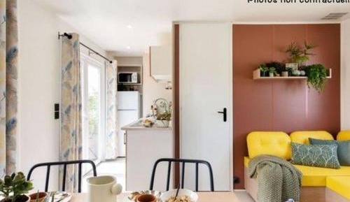 Mobile Home