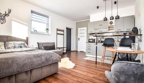 Apartment with Mountain View