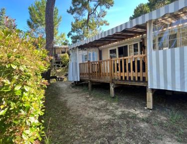 Mobile Home