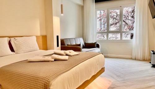 King Studio with Sofa Bed