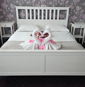 Basic Double Room