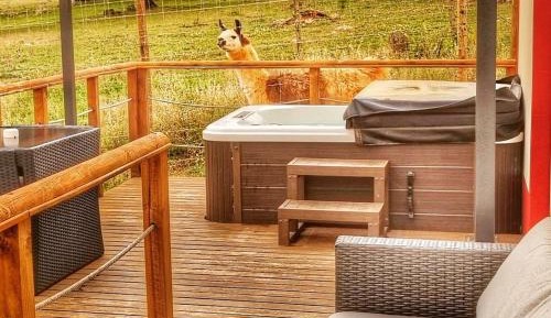 Deluxe Bungalow with Jacuzzi 