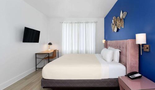 Deluxe Mobility Accessible Queen Room, Roll-In Shower, Non-Smoking