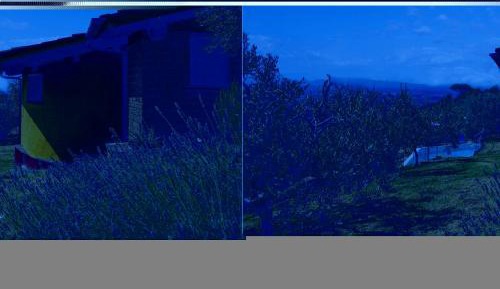 One-Bedroom Holiday Home