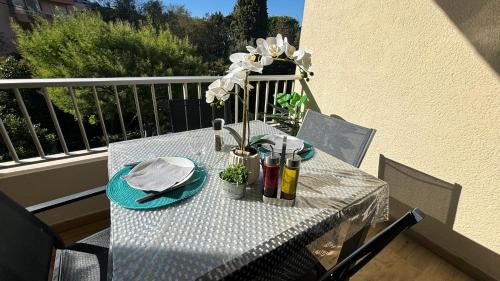 Studio with Terrace