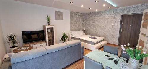 Studio Apartment with Balcony