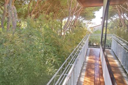 Elegance Double Room with Balcony