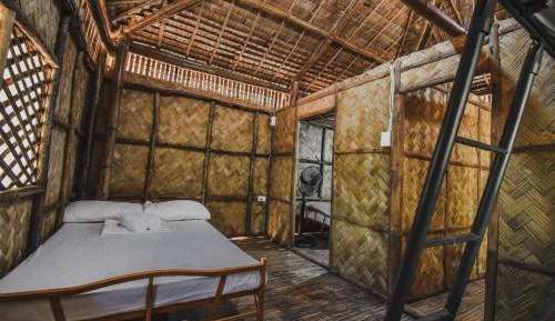 Bed in 6-Bed Dormitory Room
