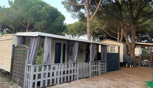 Mobile Home