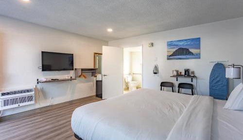 Single Room - Disability Access