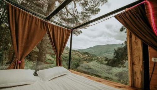 One-Bedroom Villa