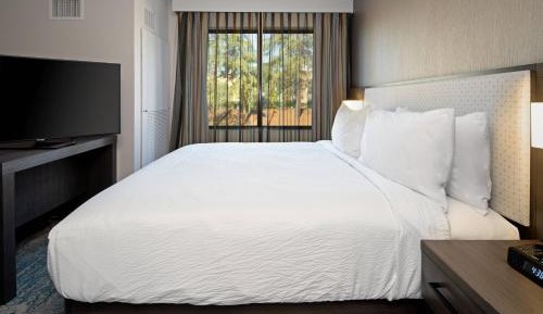 One-Bedroom King Suite with Sofa Bed